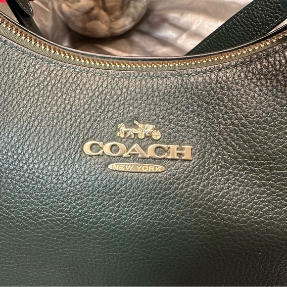 SOLD🌹Coach Teri Hobo • LIMITED EDITION Pebbled Leather WINTER GREEN Shoulder Bag - Picture 3 of 15